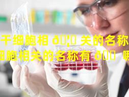 和干细胞相 🦈 关的名称（和干细胞相关的名称有 🐠 哪些）
